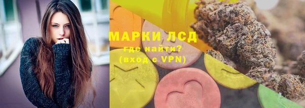 СК Аркадак