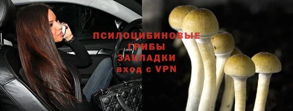 синтетический гашиш Арсеньев