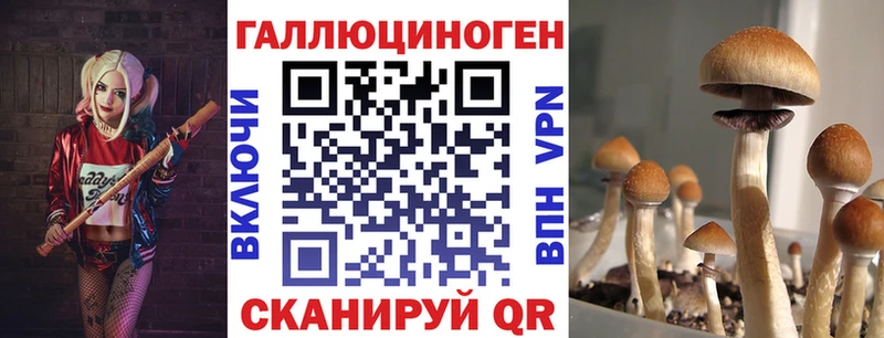 даркнет сайт  Коммунар  Галлюциногенные грибы мухоморы 